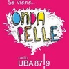 Logo Onda Pelle -  @tallercomunicacion_pelle - 24 Mayo 2023