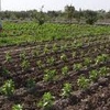 Logo La Legislatura vota el proyecto de Ley de Agricultura Campesina 