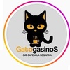 Logo GATOGASINOS CAT CAFE - RADIO 2 - A LA VUELTA