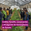 Logo CodiGo TomATe: Conservación y divulgación de Germoplasma de Tomate - Extensión en Radio UNR - 10/11