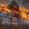 Logo Incendios en Salta. ¿Crónica de un desastre anunciado? 
