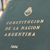 Logo Gustavo Ferreyra: "Estamos planteando una reforma de la Constitución actual"