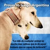 Logo #Entrevista | @proyectogalgoar: "Esta es la segunda ley que defiende a los animales en Argentina"