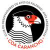 Logo Entrevista Guille Spajic Coa Carancho