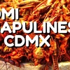 Logo Maru Ulive nos cuenta sobre Mexico y lugares increibles