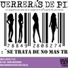 Logo Guerreras de Pie - SE TRATA DE NO MAS TRATA -