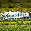 Logo El diputado nacional Pablo Carro (UP) propone crear un fondo con la soja para obras