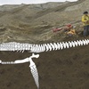Logo José O'Gorman sobre el hallazgo en la Antártida restos de un reptil marino como MonstruoDelLagoNess