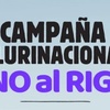 logo FARN. Entrevista sobre el RIGI y su impacto en el territorio argentino