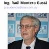 Logo Ing. Montero Pte de OSE