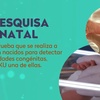 Logo PKU-Fenilcetonuria: error congénito del metabolismo en Hora Saludable con la Dra Ana Chiesa