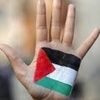 Logo La Revolución Palestina por Rodolfo Walsh