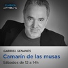 Logo Camarín de las Musas - Idea y conducción: Gabriel SenaneS - 1/8/2020