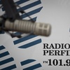 Logo Panorama 101.9 - La más completa síntesis informativa del mediodía en #RadioPerfil @perfil1019 