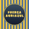 Logo Raúl Ostoich, candidato a Tesorero por Fuerza Auriazul