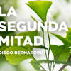 Logo Dr.Diego Bernardini en Remixados. Renovar lazos sociales para lograr atravesar tiempos diferentes.