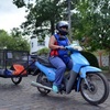 Logo @CCaradente @MunicipioLdeZ Inició el Programa "Un caballo por un motocarro"