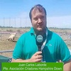 Logo Carlos Laborde presidente de la Asociación de Criadores de Hampshire Down