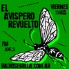 Logo El Avispero Revuelto - Programa N° 18