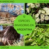 Logo Un Viaje con Vo(z): especies exóticas invasoras (Lic. Alba Imhof). 