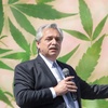 Logo Mariano Fusero: "Hay que despenalizar a las personas que consumen y regular el cannabis" 