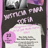 Logo Justicia para Sofi.