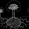 Logo Sistemas de organización, inteligencia vegetal y formas de comunicación