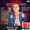 Logo Seba Molina en Megatris