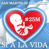 Logo Marcha Por la Vida San Martín de los Andes #25M 2018