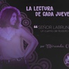 Logo "Señor Labruna" - Miranda Cerdá