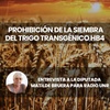 Logo Proyecto de Ley de Prohibición del Trigo Transgénico HB4, entrevista a Matilde Bruera para Radio UNR