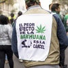 Logo Mariano Fusero: "La regulación del cannabis debe ser integral y basarse en la justicia social" 