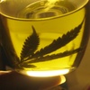 Logo Uso medicinal del Cannabis, muy buen analisis sobre pros y contras de la ley.