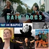 Logo Noticias varias y RAIN DOGS