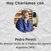 Logo Pedro Peretti: "La unica alternativa que tiene la Argentina se llama Cristina Fernandez de Kirchner"