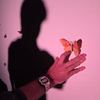 Logo Teatro: LAS NENAS TAMBIÉN SON MARIPOSAS 