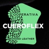 Logo La recuperada CueroFlex estrenó una caldera y autoelevador | Entrevista a Jorge Reisch, Pte.