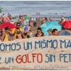 Logo Golfo de San Matías sin petróleo! (ante un simulacro de audiencia: ilegitima, ilegal y sin validez)