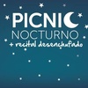 Logo Picnic Nocturnos en Rosario