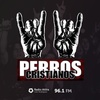 Logo Norberto "Ruso" Verea - Heavy Rock and Pop - Perros Cristianos - Radio Atilra
