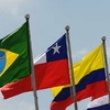 Logo Columna Latinoamericana