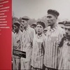 Logo Milagros Flores desde el Museo del Holocausto