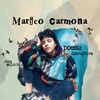 Logo Marico Carmona “El arte entra en todo lo que hago”