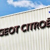 Logo Despidos masivos en Peugeot-Citroen, Entrevista al Delegado Gremial Ariel Perezcholfi
