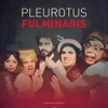Logo Entrevista a Gustavo Castro, actor de Pleurotus Fulminaris