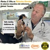 Logo El veterinario Gabriel Terceiro "la importancia de la castración"