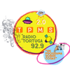 Logo TPMS - SEGUNDO PROGRAMA