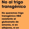 Logo NO AL TRIGO TRANSGÉNICO - ¿Qué hay detrás del acuerdo entre Havanna y Bioceres?
