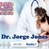 Logo Dr. Jorge Jones: "Mascotas Agresivas" en HiperConectados de Radio con Tony Amallo