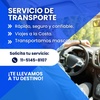 Logo SERV ICIO DE TRANSPORTE